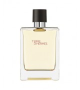 TERRE D'HERMÈS PERFUME MASCULINO EAU DE TOILETTE 100ml